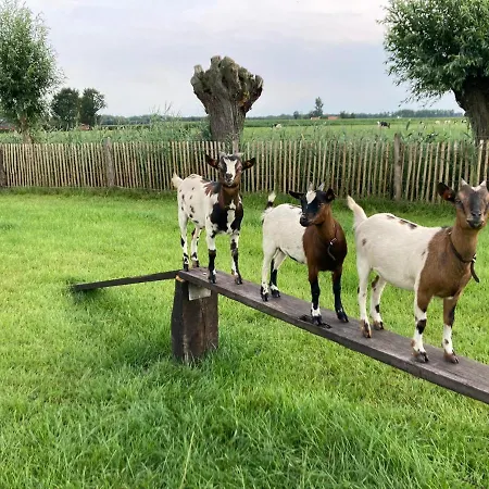 De Burkelhoeve App.b Maldegem